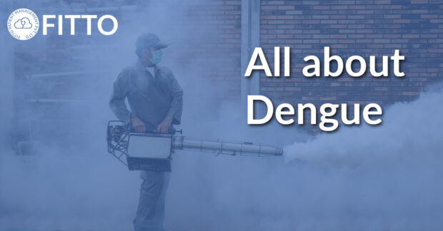 all about dengue - Fitto